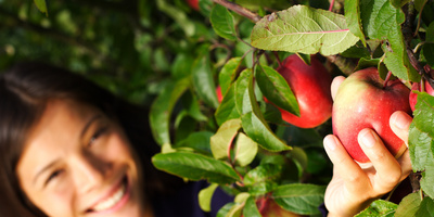 From Apple Picking to Preserving: 4 Safety Tips for Fall Treats