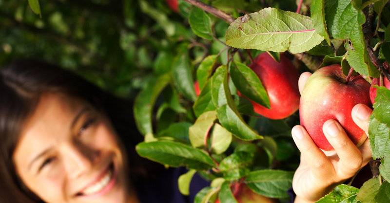 From apple picking to preserving: 4 safety tips for fall treats