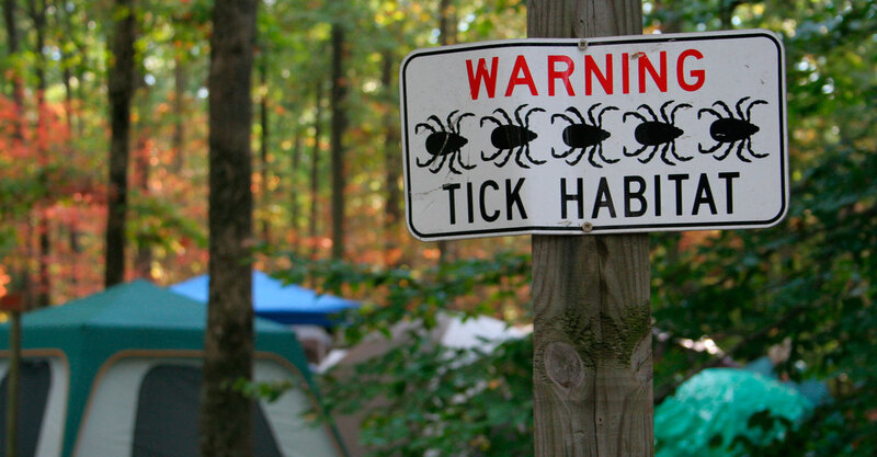 5 theme park injuries that are completely avoidable