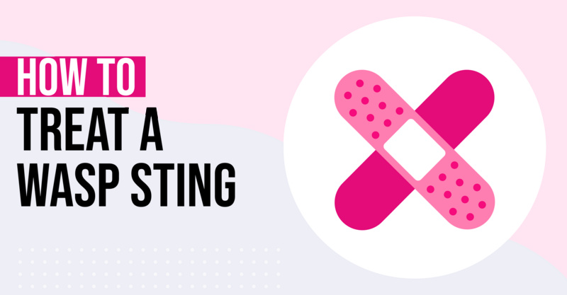 How to treat a wasp sting: 8 things to do if you get stung