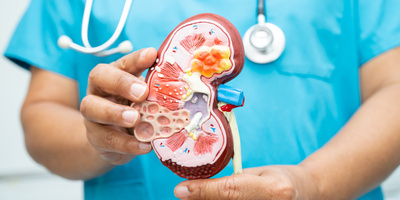 Kidney Disease: Symptoms & Treatment