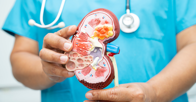 Kidney Disease: Symptoms & Treatment