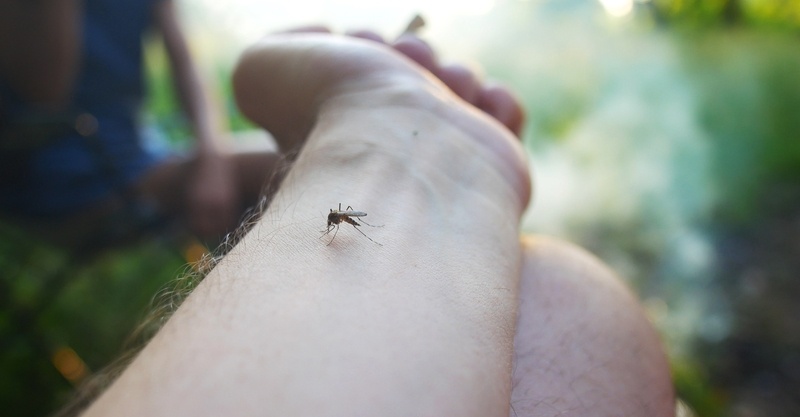Skeeter syndrome: Mosquito bite allergy symptoms & treatment