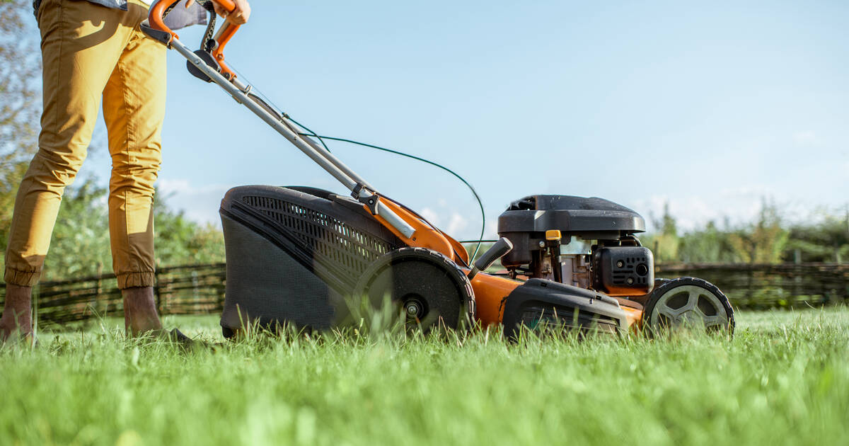 Can Mowing Lawn Cause Allergies: Uncover Hidden Risks Today