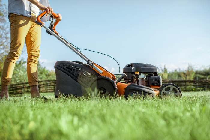Grass Allergy Test: Identifying symptoms & exploring treatment options
