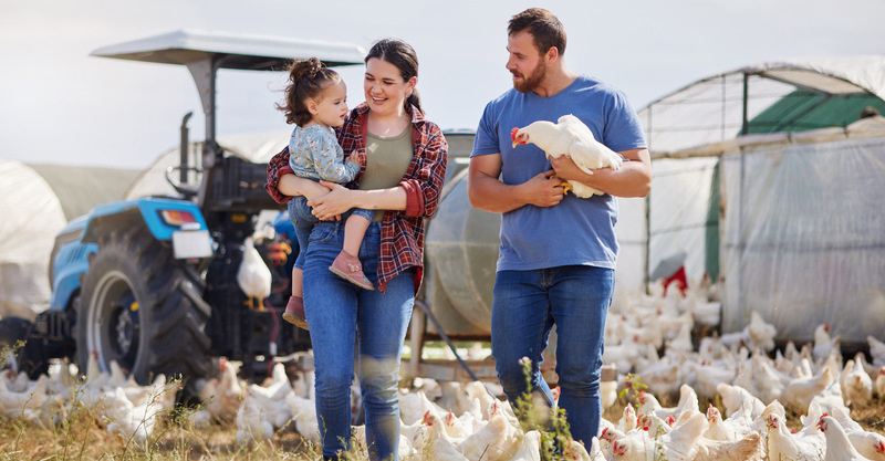 3 steps to protect your family from bird flu exposure