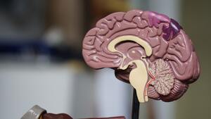 The role of hormones in weight loss: Should you get tested?